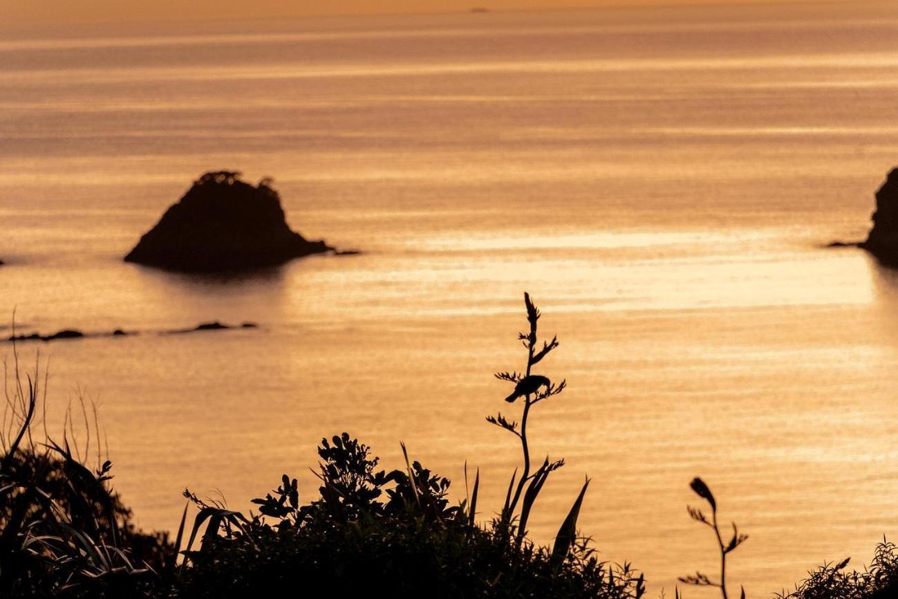 Cathedral Cove And Sunrise Hahei Exterior foto